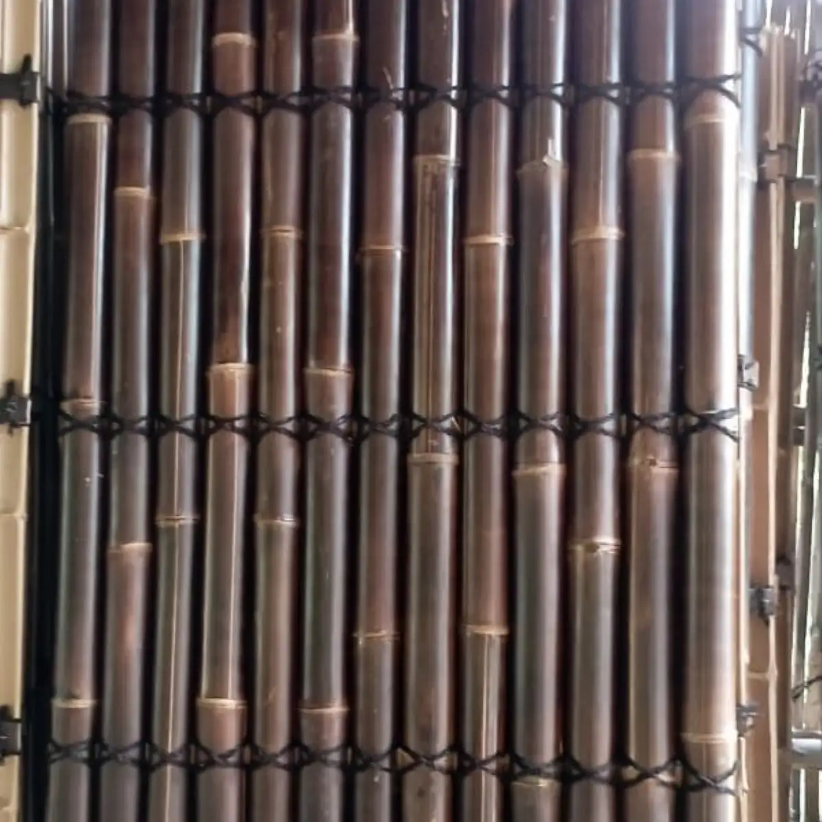 Panneau demi bambou, l.100 x H.180 cm